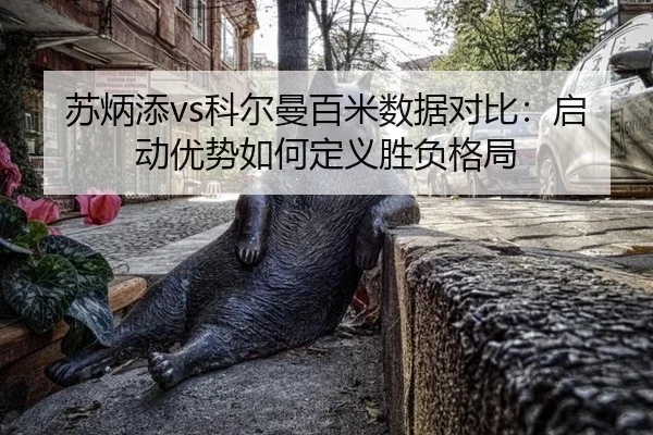 su-bing-tian-ke-er-man-bai-mi-shu-ju-dui-bi-qi-dong-you-shi-ru-he-ding-yi-sheng-fu-ge-ju-2-504.jpg